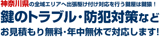 ���l�s�_�ސ��E���_�ސ�E�V�q���̌��������́A���̕����g���u���⌮�C���̂��˗��֔N�����x�E�����ς��薳���ŋ삯���܂�